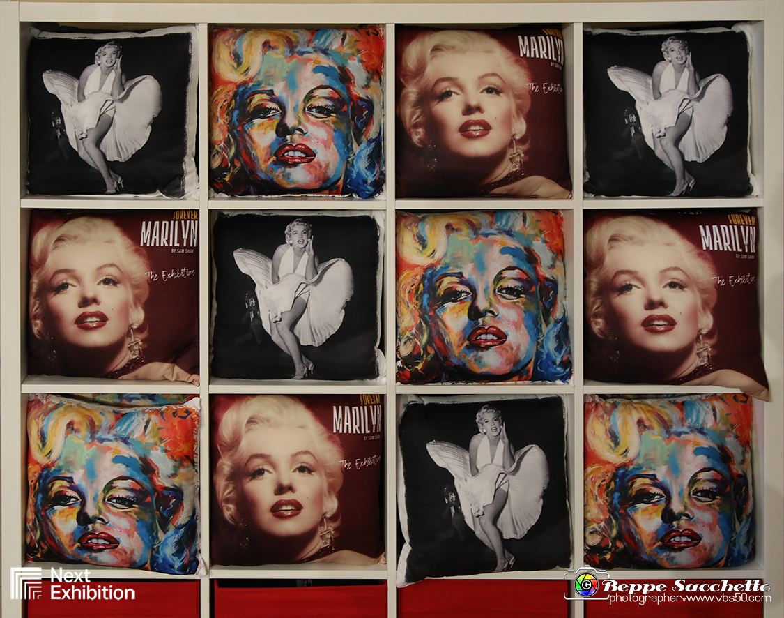 VBS_6973 - Mostra Forever Marilyn by Sam Shaw.jpg